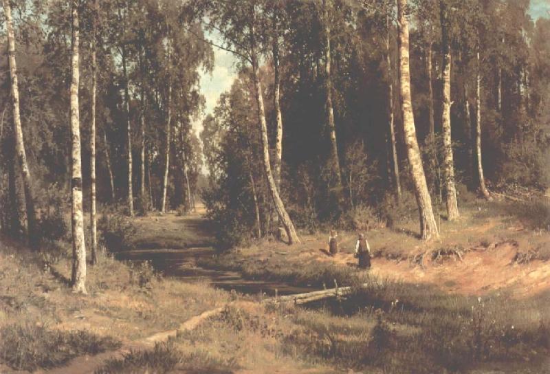 Ivan Shishkin Brook in a Birch Grove Norge oil painting art